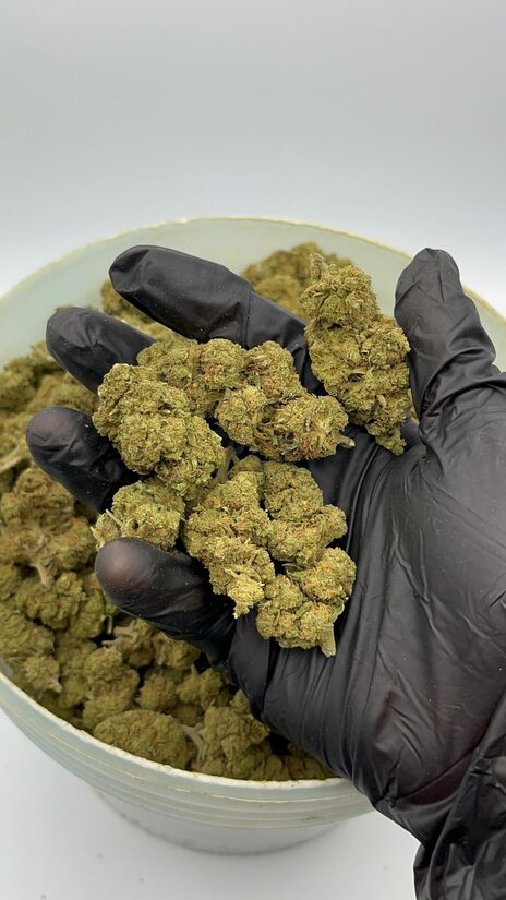 CBD Hanfblüten Limo – Erfrischendes Zitronenaroma und Natürliche Ruhe